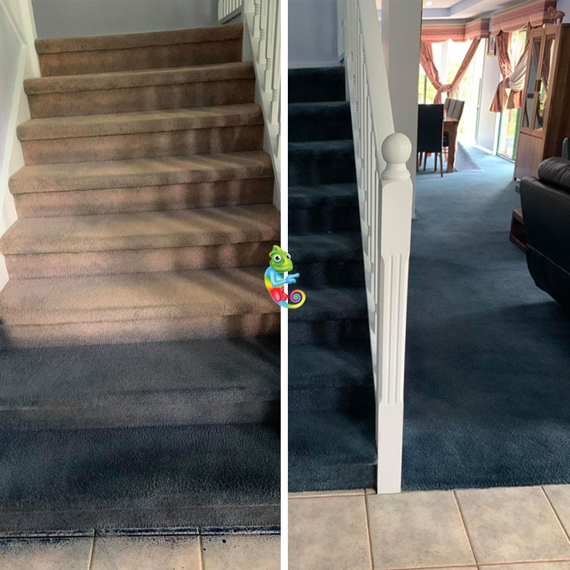 Dyed the stairs to match the carpet colour