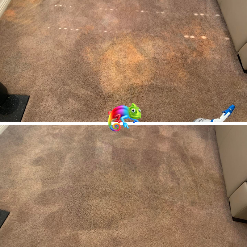 Carpet spot dyeing before and after