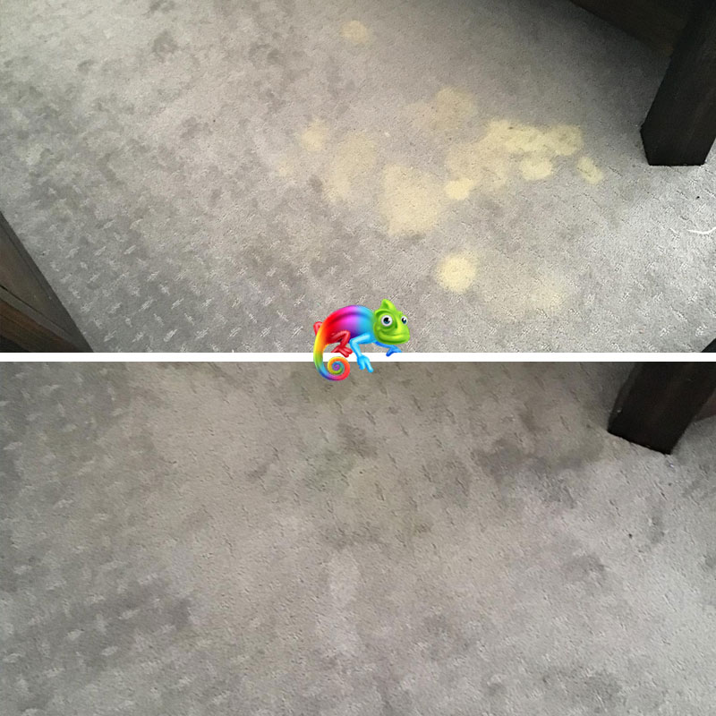 Bleach Spots Removed from carpet before and after