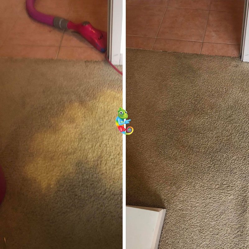 Carpet Stain Repair before and after