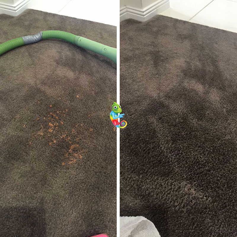 Carpet bleach repairs